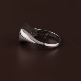3ct Cushion Lab Grown Diamond Engagement Ring | Modern Bezel Set Pavé Band 14K White Gold