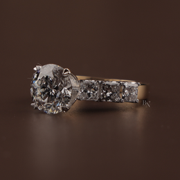 3ct Round Lab Grown Diamond Engagement Ring | NSEW Compass Prong Princess Cut Accents 14K Gold