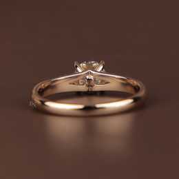 Round Brilliant Lab Grown Diamond Engagement Ring | Hidden Halo Pavé Band 14K Gold