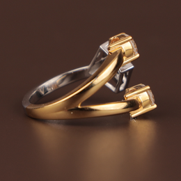 Toi et Moi Lab Grown Diamond Ring | Princess Round Brilliant Bypass 14K Two Tone Gold